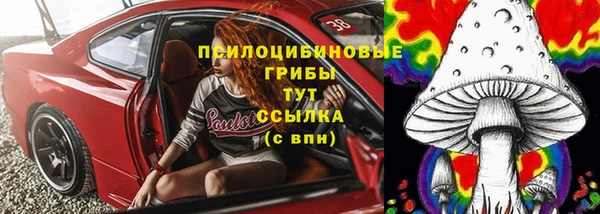 амф Абаза